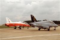 Hawks on the main pan