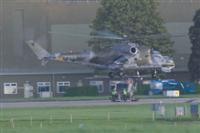 Hind over a Lynx