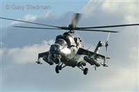 Hind head-on