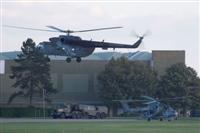 Wattisham pan with the rare visitors