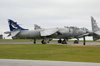 Sea Harrier on the Dummy Deck